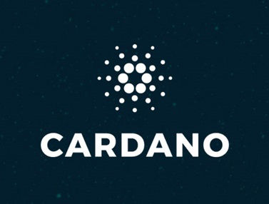 Comprar seguros con $ADA Cardano